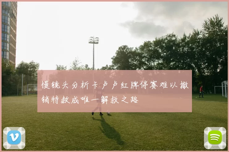 慢镜头分析卡卢卢红牌停赛难以撤销特赦成唯一解救之路